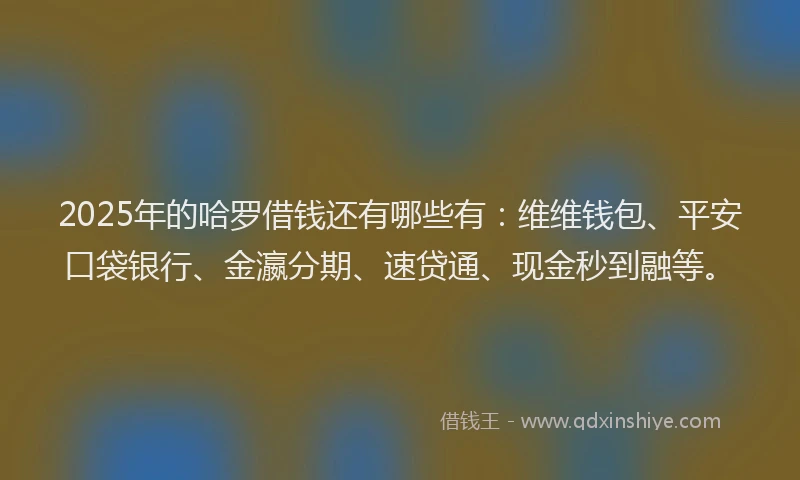 2025年的哈罗借钱还有哪些有：维维钱包、平安口袋银行、金瀛分期、速贷通、现金秒到融等。