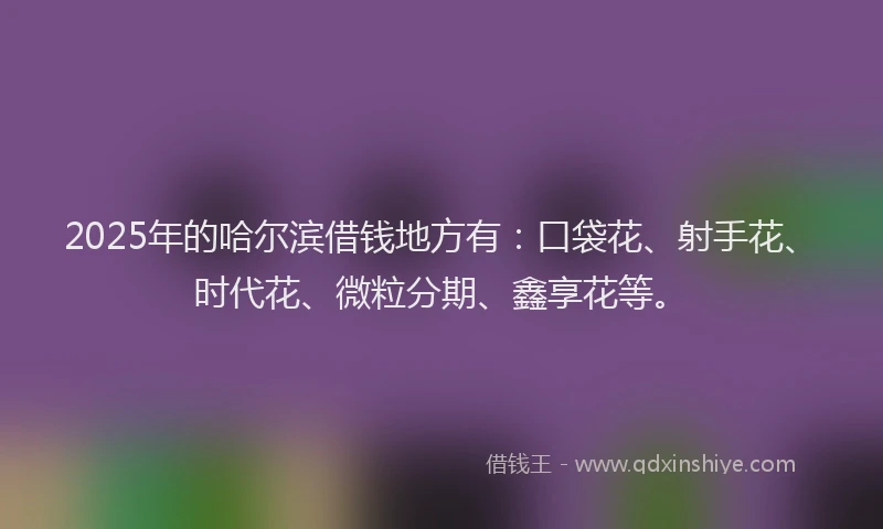 2025年的哈尔滨借钱地方有：口袋花、射手花、时代花、微粒分期、鑫享花等。
