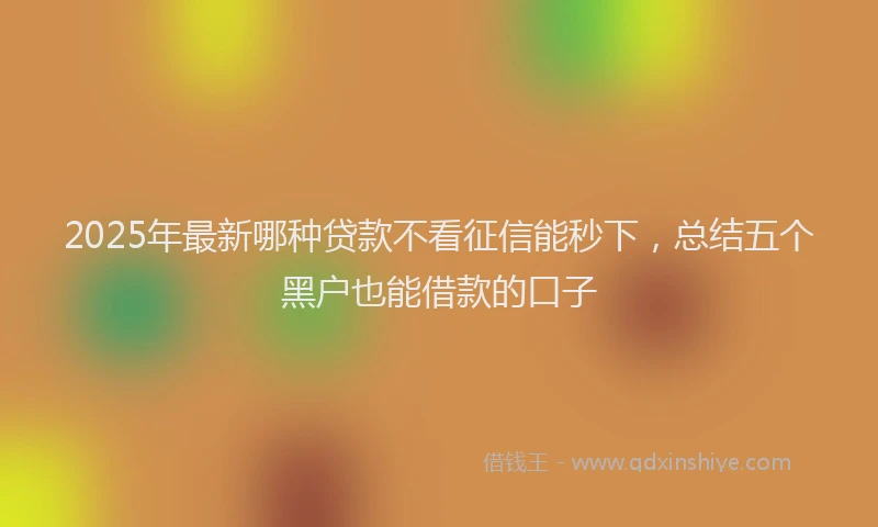 2025年最新哪种贷款不看征信能秒下，总结五个黑户也能借款的口子