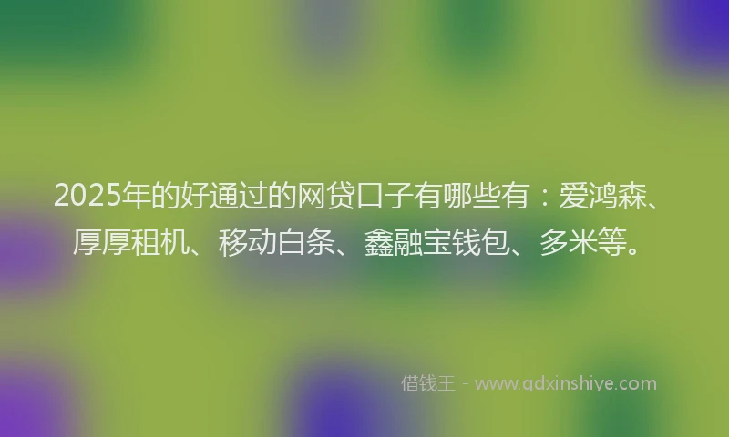 2025年的好通过的网贷口子有哪些有：爱鸿森、厚厚租机、移动白条、鑫融宝钱包、多米等。