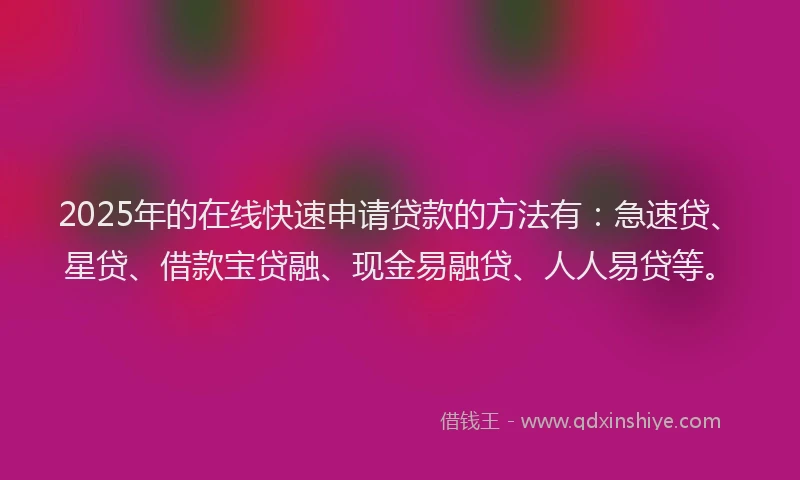 2025年的在线快速申请贷款的方法有：急速贷、星贷、借款宝贷融、现金易融贷、人人易贷等。
