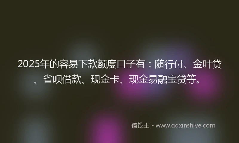 2025年的容易下款额度口子有：随行付、金叶贷、省呗借款、现金卡、现金易融宝贷等。