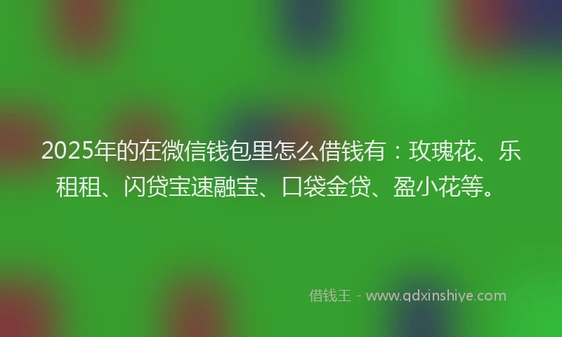 2025年的在微信钱包里怎么借钱有：玫瑰花、乐租租、闪贷宝速融宝、口袋金贷、盈小花等。