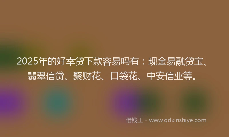 2025年的好幸贷下款容易吗有：现金易融贷宝、翡翠信贷、聚财花、口袋花、中安信业等。