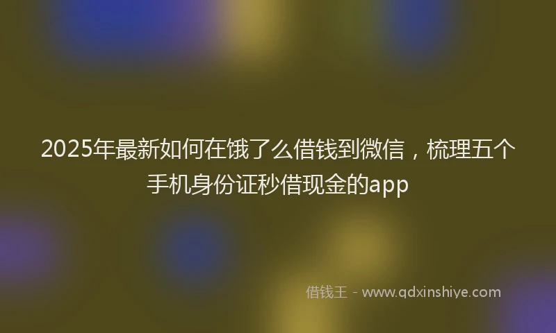 2025年最新如何在饿了么借钱到微信，梳理五个手机身份证秒借现金的app