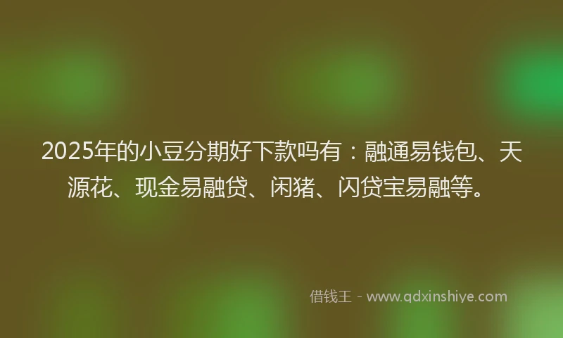 2025年的小豆分期好下款吗有：融通易钱包、天源花、现金易融贷、闲猪、闪贷宝易融等。