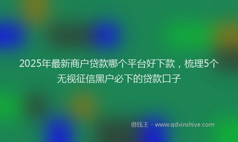 2025年最新商户贷款哪个平台好下款，梳理5个无视征信黑户必下的贷款口子