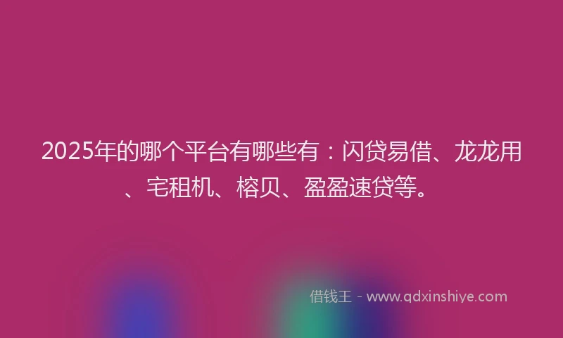 2025年的哪个平台有哪些有：闪贷易借、龙龙用、宅租机、榕贝、盈盈速贷等。