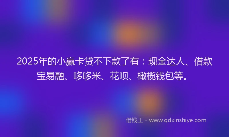2025年的小赢卡贷不下款了有：现金达人、借款宝易融、哆哆米、花呗、橄榄钱包等。
