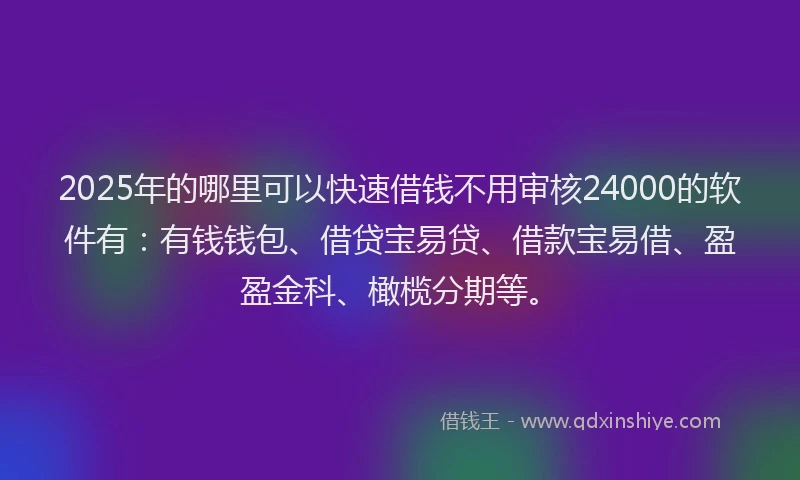 2025年的哪里可以快速借钱不用审核24000的软件有：有钱钱包、借贷宝易贷、借款宝易借、盈盈金科、橄榄分期等。