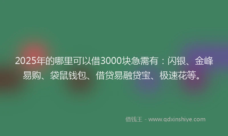 2025年的哪里可以借3000块急需有：闪银、金峰易购、袋鼠钱包、借贷易融贷宝、极速花等。