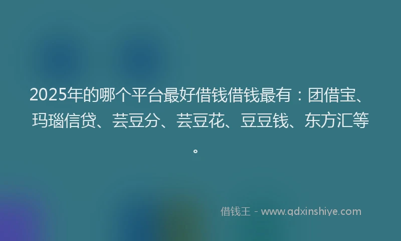 2025年的哪个平台最好借钱借钱最有：团借宝、玛瑙信贷、芸豆分、芸豆花、豆豆钱、东方汇等。