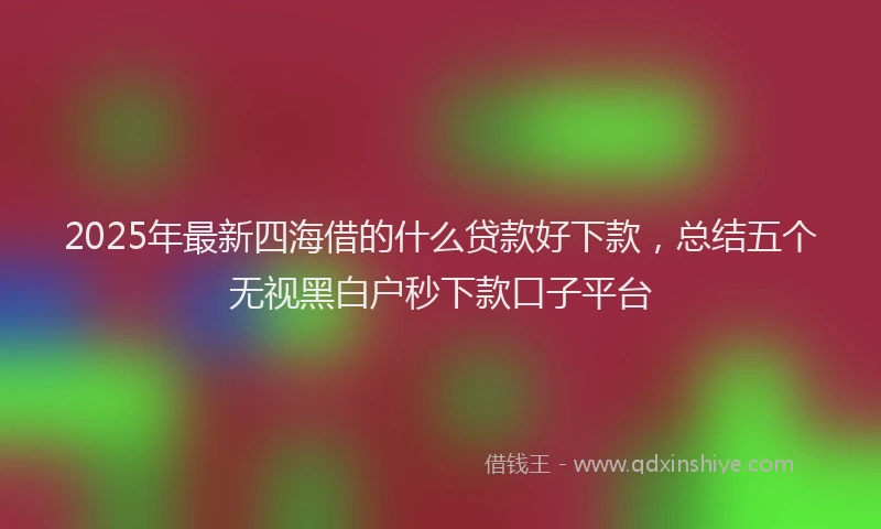 2025年最新四海借的什么贷款好下款，总结五个无视黑白户秒下款口子平台