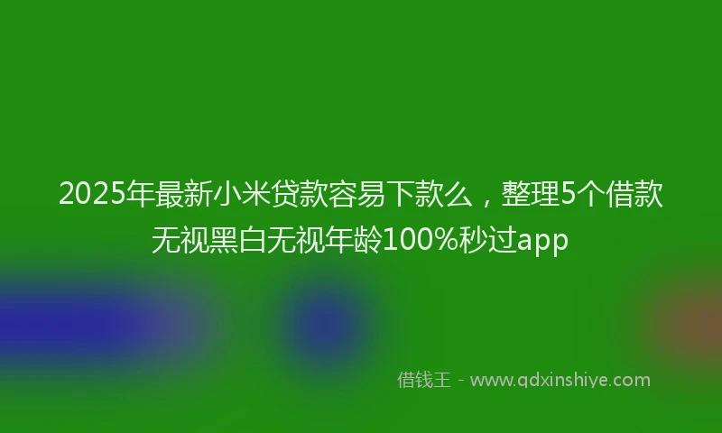 2025年最新小米贷款容易下款么，整理5个借款无视黑白无视年龄100%秒过app