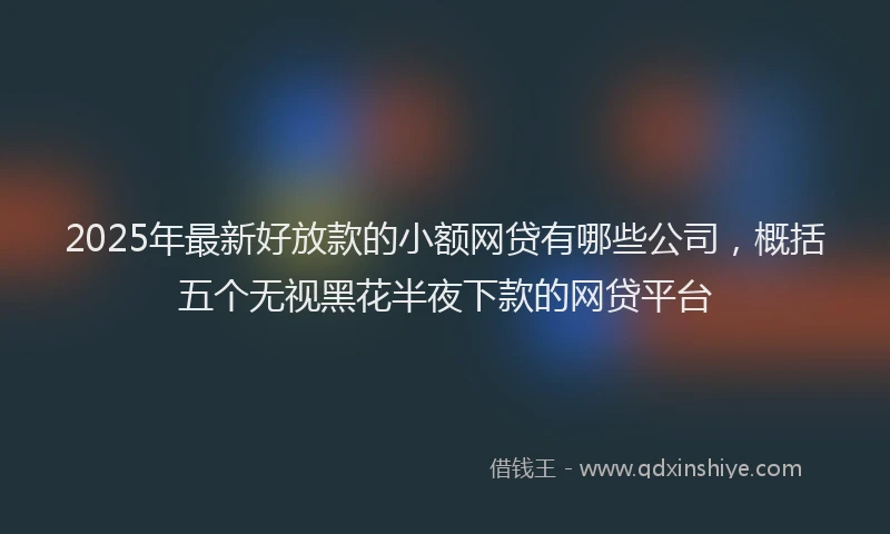 2025年最新好放款的小额网贷有哪些公司，概括五个无视黑花半夜下款的网贷平台