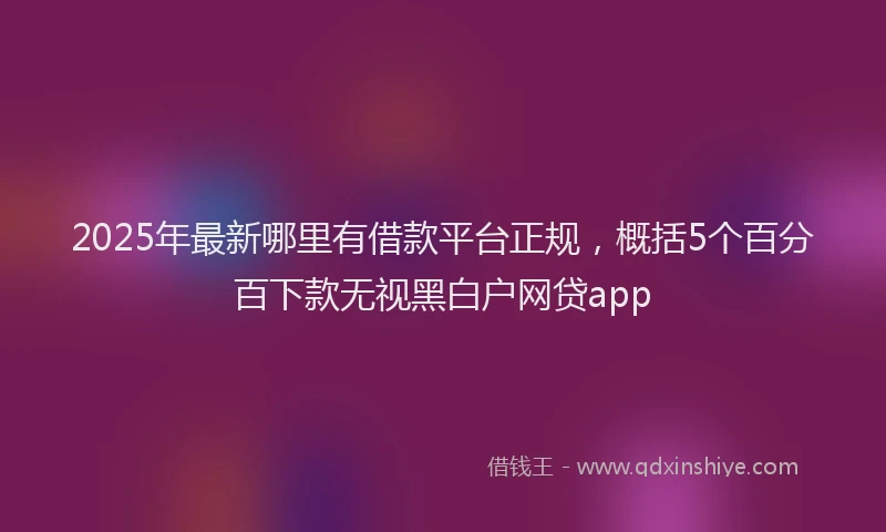 2025年最新哪里有借款平台正规，概括5个百分百下款无视黑白户网贷app