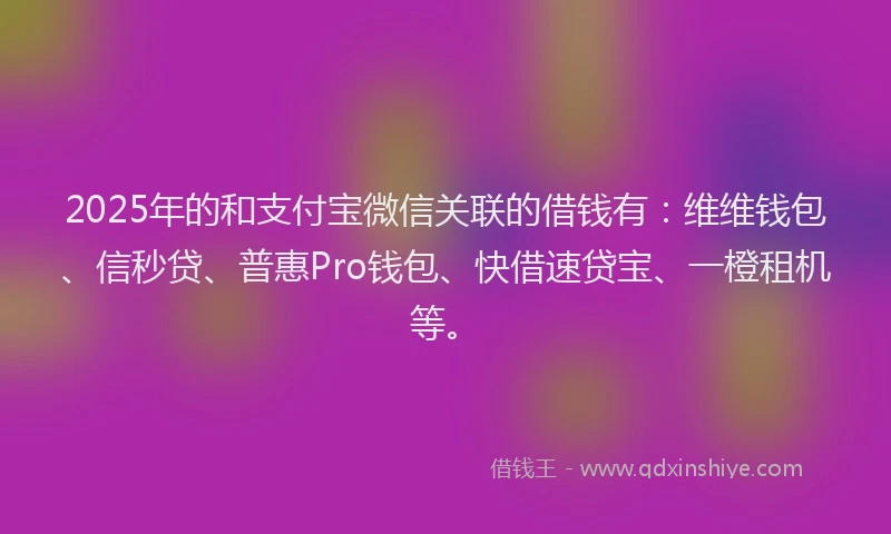 2025年的和支付宝微信关联的借钱有：维维钱包、信秒贷、普惠Pro钱包、快借速贷宝、一橙租机等。