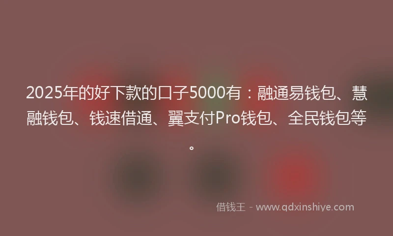 2025年的好下款的口子5000有：融通易钱包、慧融钱包、钱速借通、翼支付Pro钱包、全民钱包等。