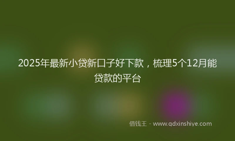 2025年最新小贷新口子好下款，梳理5个12月能贷款的平台