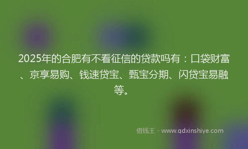 2025年的合肥有不看征信的贷款吗有：口袋财富、京享易购、钱速贷宝、甄宝分期、闪贷宝易融等。
