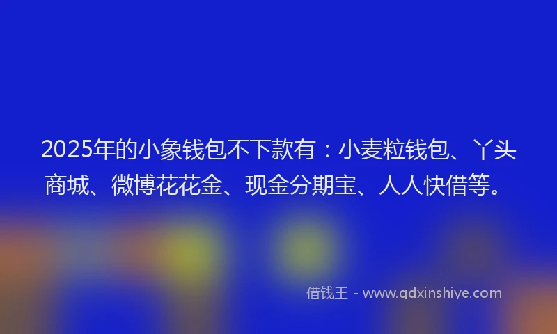 2025年的小象钱包不下款有：小麦粒钱包、丫头商城、微博花花金、现金分期宝、人人快借等。