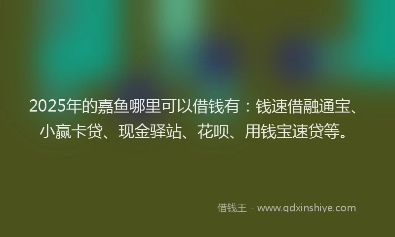2025年的嘉鱼哪里可以借钱有：钱速借融通宝、小赢卡贷、现金驿站、花呗、用钱宝速贷等。