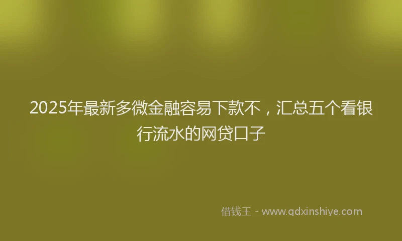 2025年最新多微金融容易下款不，汇总五个看银行流水的网贷口子