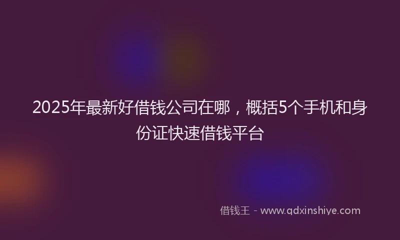 2025年最新好借钱公司在哪，概括5个手机和身份证快速借钱平台