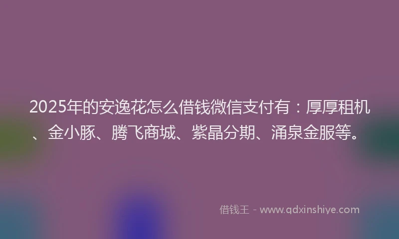 2025年的安逸花怎么借钱微信支付有：厚厚租机、金小豚、腾飞商城、紫晶分期、涌泉金服等。