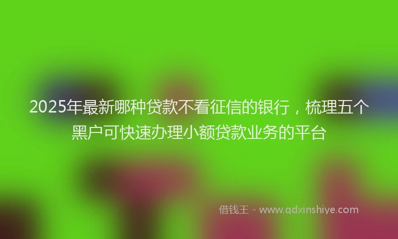 2025年最新哪种贷款不看征信的银行，梳理五个黑户可快速办理小额贷款业务的平台