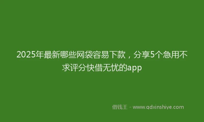 2025年最新哪些网袋容易下款，分享5个急用不求评分快借无忧的app