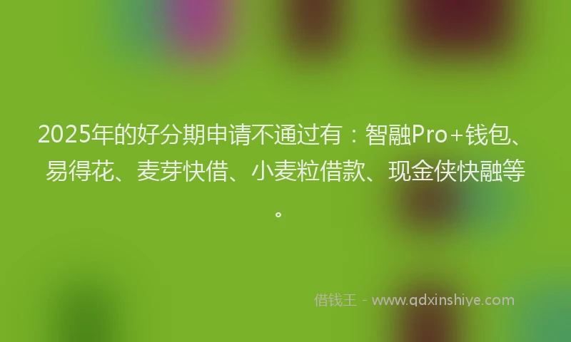 2025年的好分期申请不通过有：智融Pro+钱包、易得花、麦芽快借、小麦粒借款、现金侠快融等。