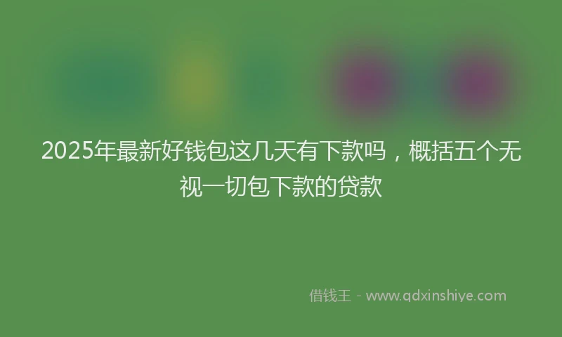 2025年最新好钱包这几天有下款吗，概括五个无视一切包下款的贷款