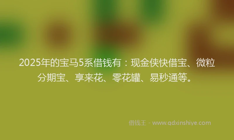 2025年的宝马5系借钱有：现金侠快借宝、微粒分期宝、享来花、零花罐、易秒通等。