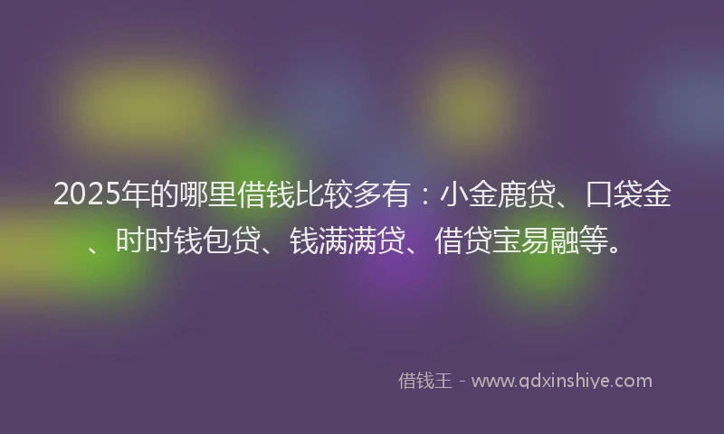 2025年的哪里借钱比较多有：小金鹿贷、口袋金、时时钱包贷、钱满满贷、借贷宝易融等。