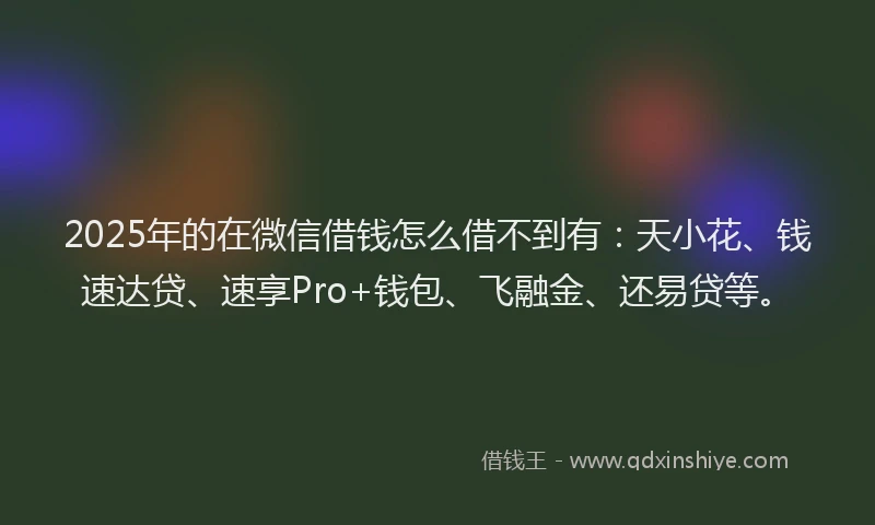 2025年的在微信借钱怎么借不到有：天小花、钱速达贷、速享Pro+钱包、飞融金、还易贷等。