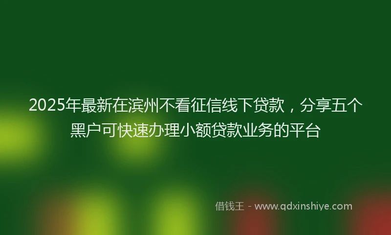 2025年最新在滨州不看征信线下贷款，分享五个黑户可快速办理小额贷款业务的平台