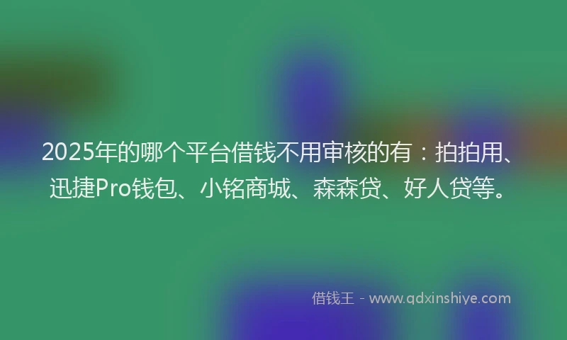 2025年的哪个平台借钱不用审核的有：拍拍用、迅捷Pro钱包、小铭商城、森森贷、好人贷等。