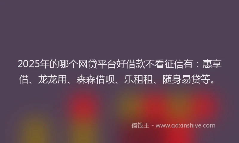 2025年的哪个网贷平台好借款不看征信有：惠享借、龙龙用、森森借呗、乐租租、随身易贷等。