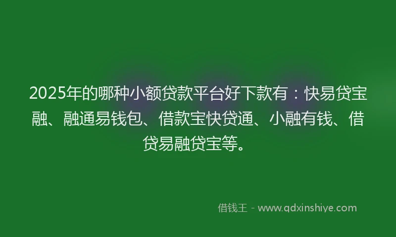 2025年的哪种小额贷款平台好下款有：快易贷宝融、融通易钱包、借款宝快贷通、小融有钱、借贷易融贷宝等。