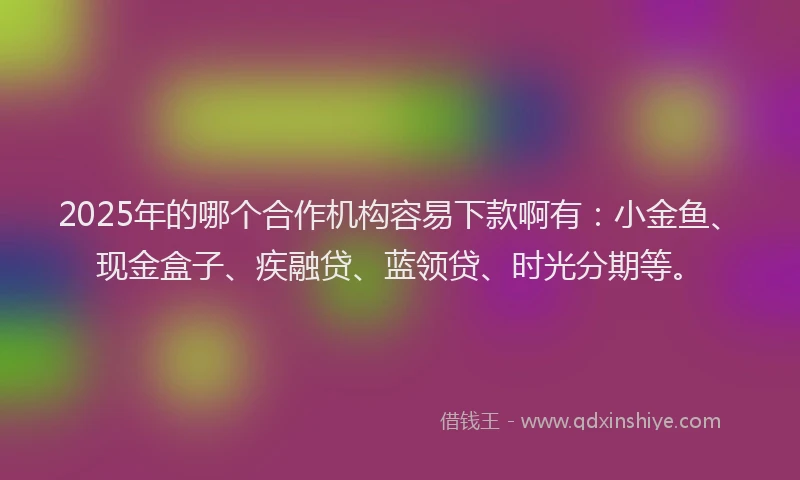 2025年的哪个合作机构容易下款啊有：小金鱼、现金盒子、疾融贷、蓝领贷、时光分期等。