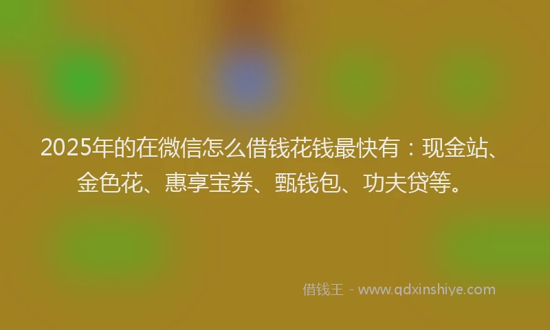 2025年的在微信怎么借钱花钱最快有：现金站、金色花、惠享宝券、甄钱包、功夫贷等。