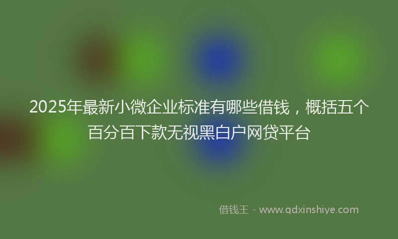 2025年最新小微企业标准有哪些借钱，概括五个百分百下款无视黑白户网贷平台