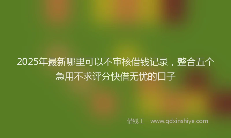 2025年最新哪里可以不审核借钱记录，整合五个急用不求评分快借无忧的口子