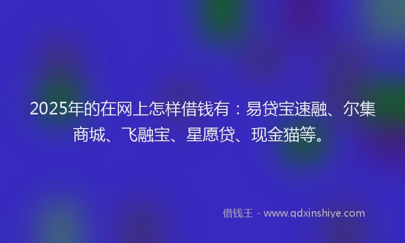 2025年的在网上怎样借钱有：易贷宝速融、尔集商城、飞融宝、星愿贷、现金猫等。