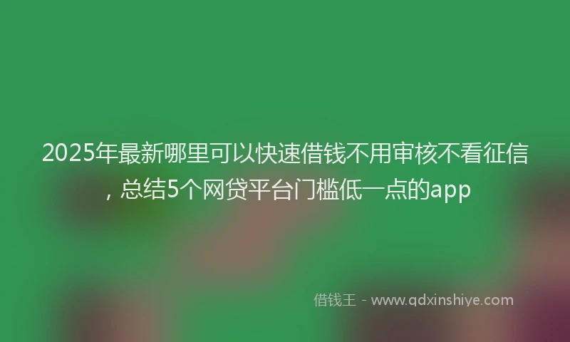 2025年最新哪里可以快速借钱不用审核不看征信，总结5个网贷平台门槛低一点的app