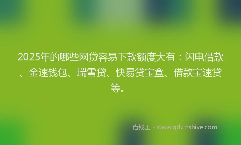 2025年的哪些网贷容易下款额度大有：闪电借款、金速钱包、瑞雪贷、快易贷宝盒、借款宝速贷等。