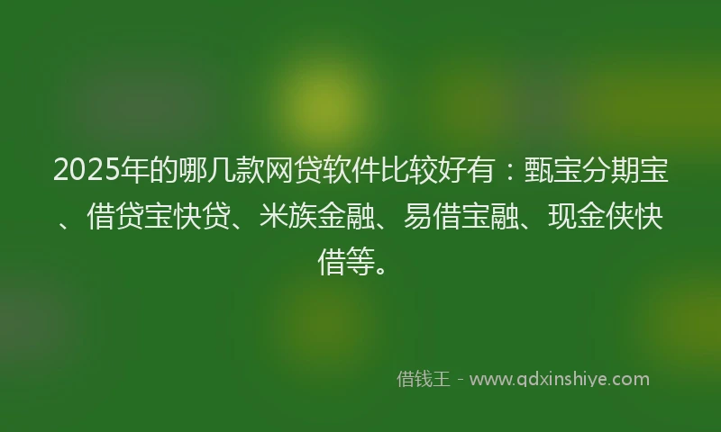 2025年的哪几款网贷软件比较好有：甄宝分期宝、借贷宝快贷、米族金融、易借宝融、现金侠快借等。