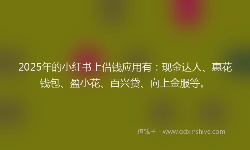 2025年的小红书上借钱应用有：现金达人、惠花钱包、盈小花、百兴贷、向上金服等。