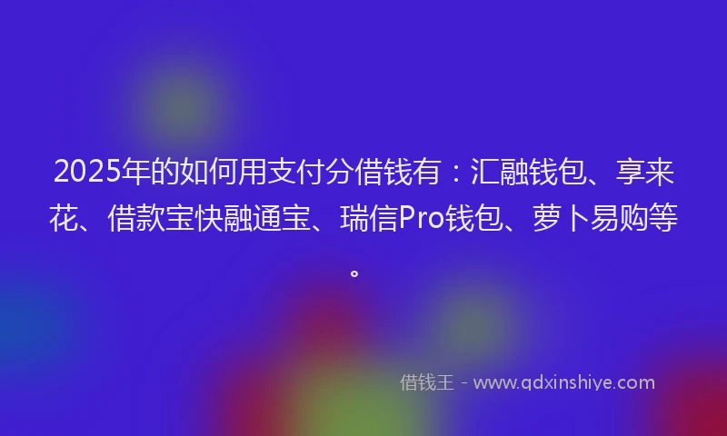 2025年的如何用支付分借钱有：汇融钱包、享来花、借款宝快融通宝、瑞信Pro钱包、萝卜易购等。